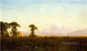 Ciervos pastando Grand Tetons Wyoming Albert Bierstadt Pinturas al óleo